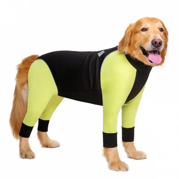 36サイズ ドッグウェア pmydogwear09 つなぎ ラッシュガード カバーオール ドッグウェア ドッグウエア 犬服
