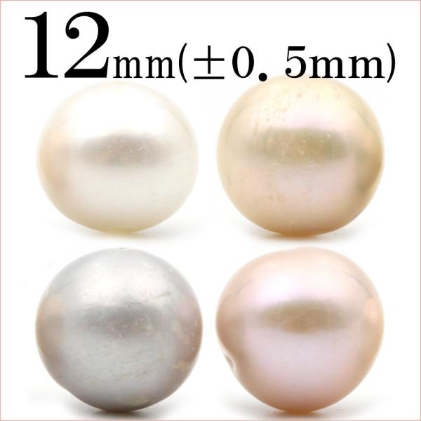 1 VR Iׂ4 Wp[ ۃr[Y |eg^ 12mm t1065