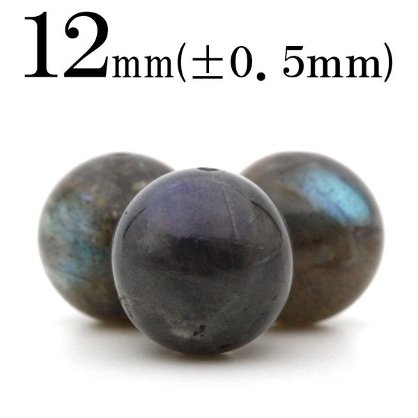 1 VR u[uhCg ۃr[Y 12mm t1028