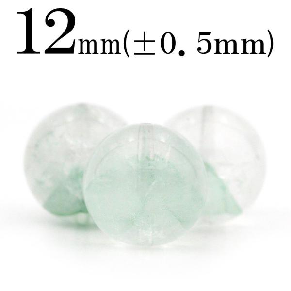 グリーンファントム 粒径12mm 内径18cm グリーンファントム 粒径12mm 内径18cm