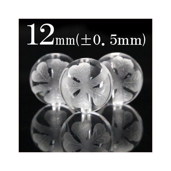 1 VR  NH[c  ۃr[Y 12mm lt̃N[o[ t293