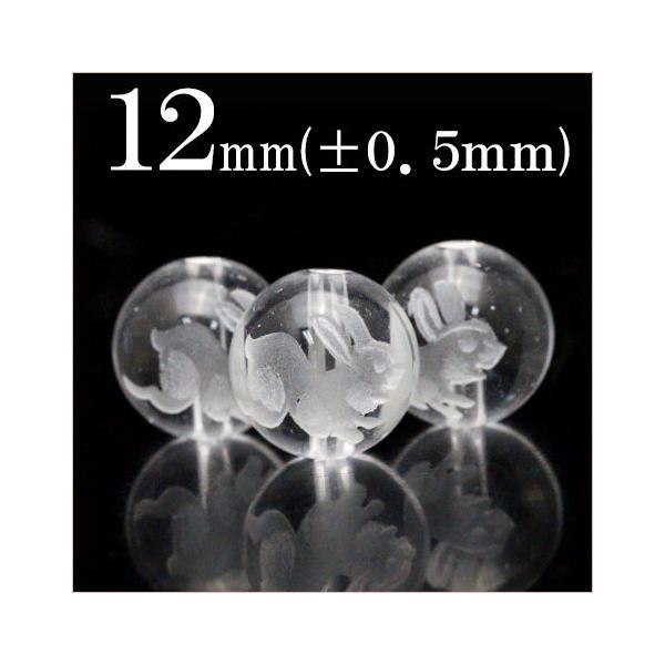 1 VR  ۃr[Y ETM 12mm t2076