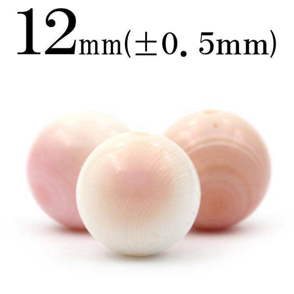 Lucky365 1粒売り 天然石 クィーンコンクシェル 12mm t1401 : 天然石