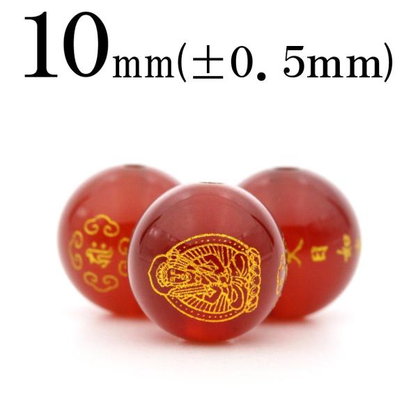 1 VR bhJZhj[ J[lA ۃr[Y 10mm  t1219