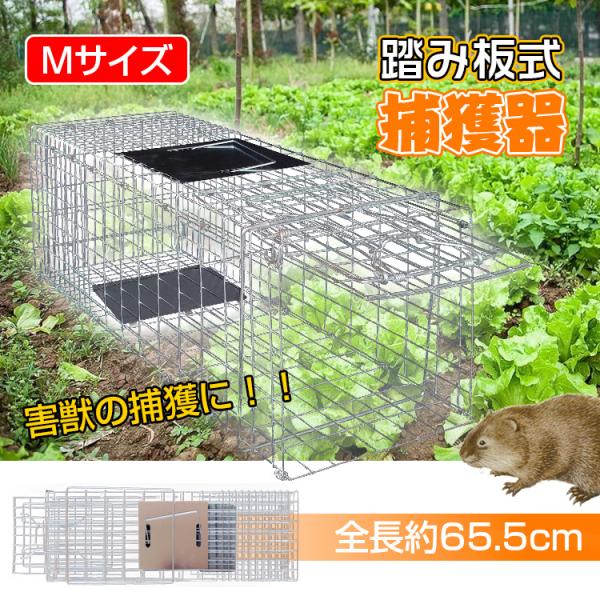 捕獲器 踏み板式 Mサイズ 折りたたみ 全長65.5cm アニマル トラップ