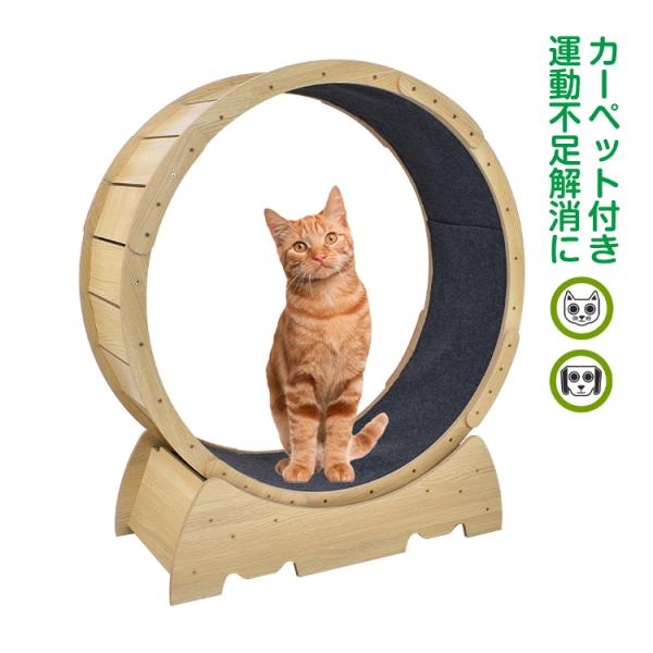 猫 トレッドミル キャット ホイール 安い ローラー ルーム