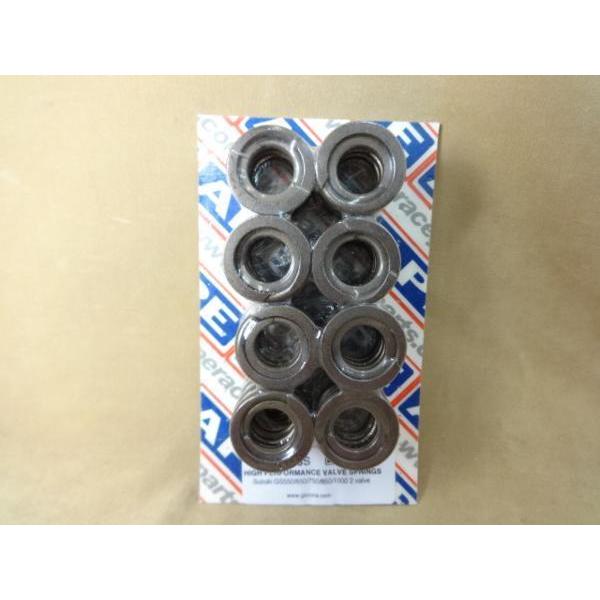 GS750,1000 2バルブ系用 APE 強化バルブスプリング 1台分 1セット