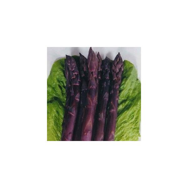 世界十大最高級野菜幻の純紫アスパラガス12粒f1品種 Buyee Buyee 提供一站式最全面最專業現地yahoo Japan拍賣代bid代拍代購服務