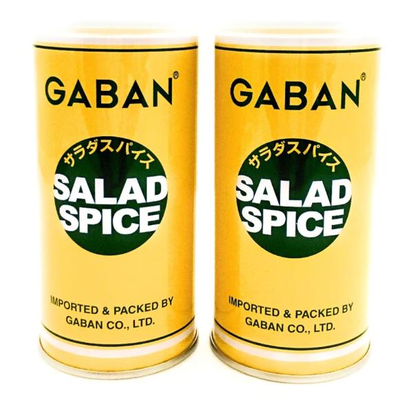 ギャバン サラダスパイス 缶入 100g ×2個 シーズニング GABAN