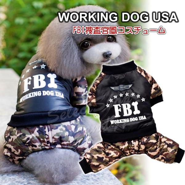 hbOEFA  ybgEFA RXv FBI ph ybgEFA  RX`[ ^ ^ ^  񑫕s nEB _E LP-034