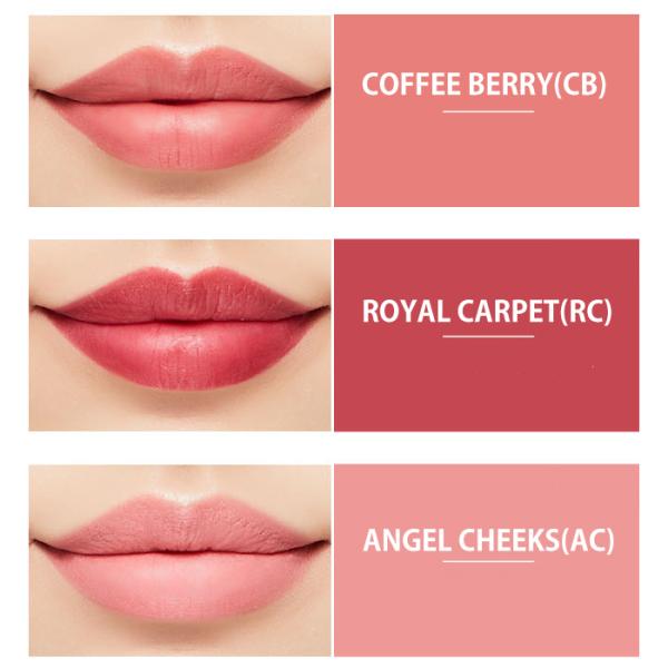 ludiaplus1221_mis-l-01_5_d_20251007123746