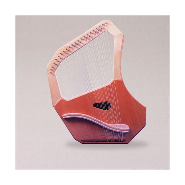 @Auris@AEX@\vmC[@RT@i}bgj