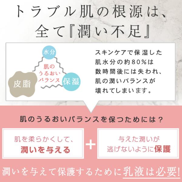 luire_pltpmm-000515_5_d_20260220124041