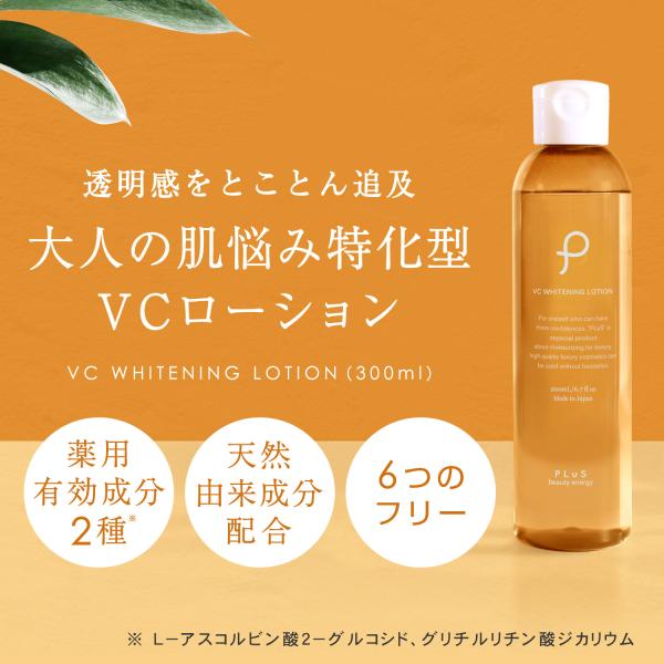 luire_plwm11_6_d_20240808192530