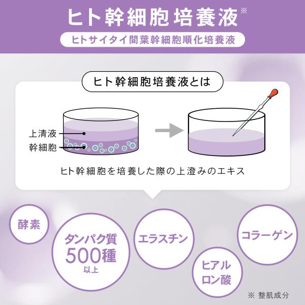 luire_tlel11_6_d_20260105183447