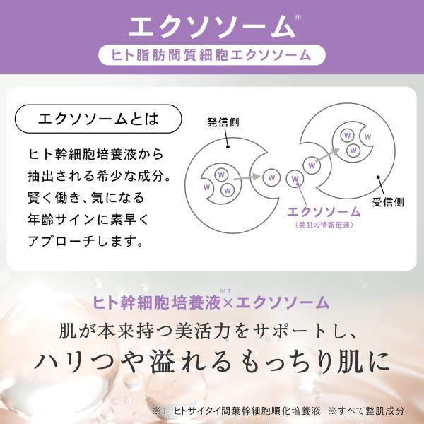 luire_tlel11_7_d_20260105183452