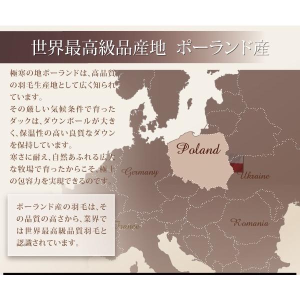 本命ギフト の布団セット クイーン 日本製 10点セット ベッドタイプ 布団 布団カバーセット ポーランド産 ホワイトダック90 ロイヤルゴールドラベル 羽毛布団10点セット 熱い販売 の