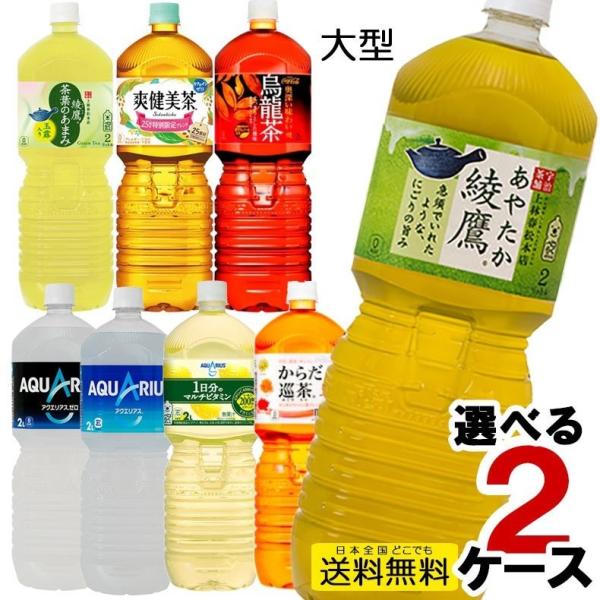 2l 2リットル 大型 ペットボトル 合計12本 6本入り よりどり 2ケース アクエリアス 爽健美茶 綾鷹 からだ巡茶 お茶 水 炭酸水 いろはす コカ コーラ 直送 2lpet 2lpet ルミニーオジャパン 通販 Yahoo ショッピング