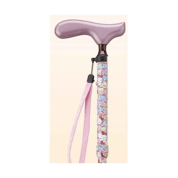 n[LeB ܂肽݃XebLHK-21 