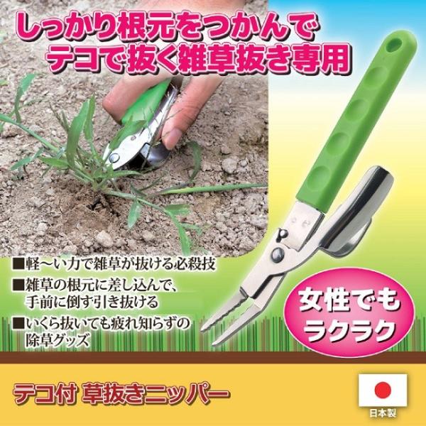 G  K[fjO |  eRt jbp[