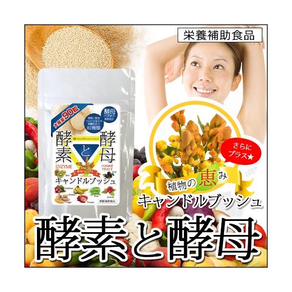 yfƍy yf_CGbg Tvg lR|X 