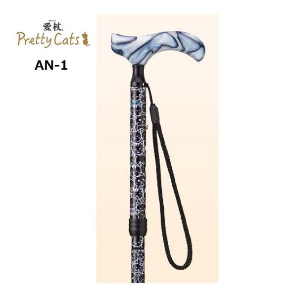  ܂肽  L XebL   veBLbc AN-1