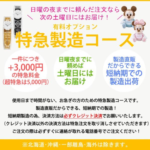 ※休業日には電話応対・注文確認・受注・発送業務は行っておりません。※年末年始・夏季休業など、長期休業中にご注文頂いた場合は、特急対応できない場合がございます。※月曜（月曜が祝日の場合は翌日）に当店より注文確認メールが届かない場合は、一度当店...