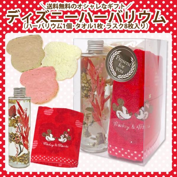 // fBYj[n[oE in[oE1E^I1EXN8j//^IEMtgE