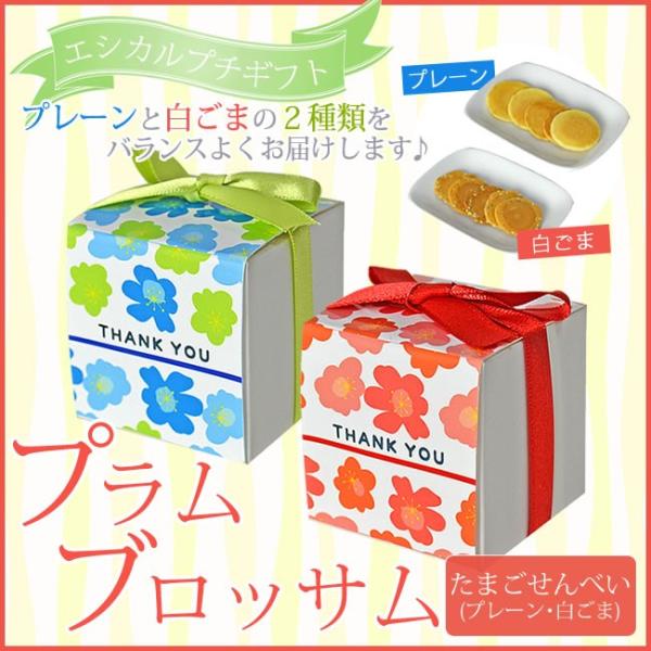 yGVJv`MtgzvubTy܂ׂ/v[E܁z