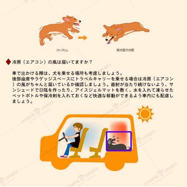 �_�ĉ����Z�[����2,280�~�^�� �N�[���x�X�g �N�[���n�[�l�X  ���Y�ۗ�ܕt�� ���� ���Y�ۗ�ܕt�� ���p�����΍� �U���O�b�Y ���i�摜4