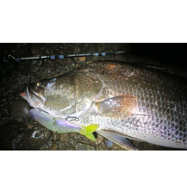 TULALA エクストリーム TULALA Harmonix Corona（ハーモニクス