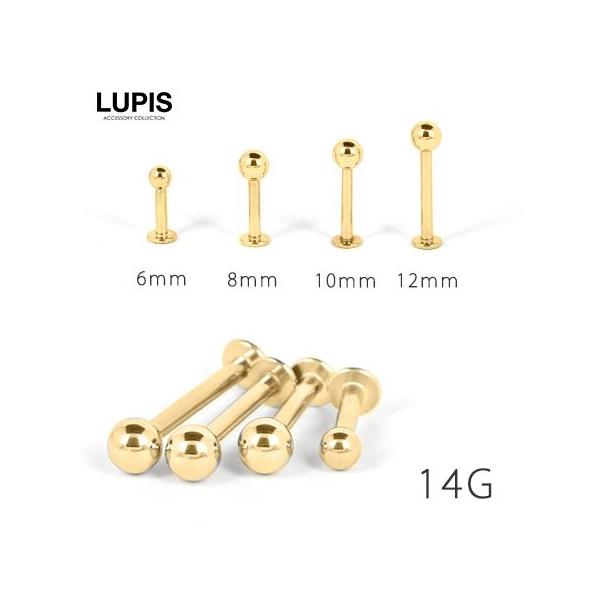 {fBsAX t@[XgsAX 14G ubgX^bh |Ȃ sAX gKX T[WJXeX S[h sX lupis