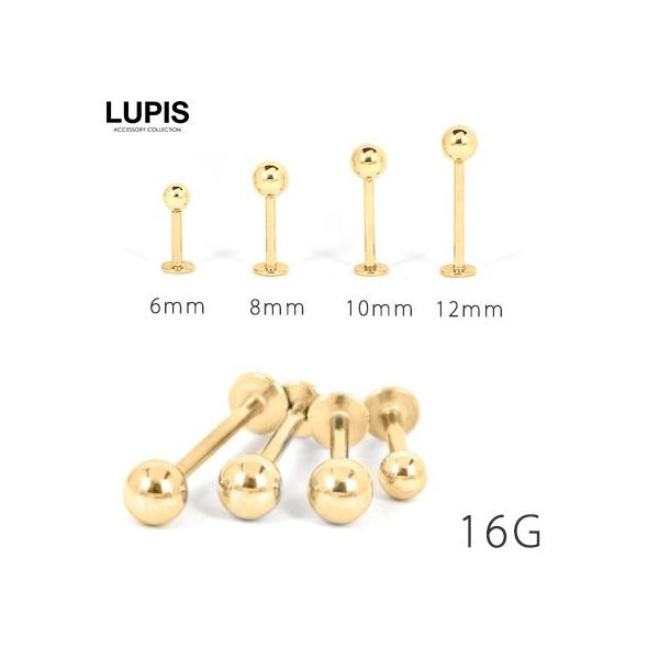 {fBsAX t@[XgsAX 16G ubgX^bh |Ȃ sAX gKX T[WJXeX S[h sX lupis