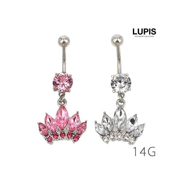 {fBsAX 14G ւsAX oiio[x rW[ NE T[WJXeX AM[Ή ςȂOK sX lupis