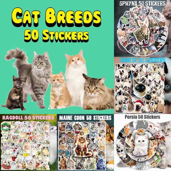 猫の品種別ステッカー50枚セット。楽器やパソコン、スーツケース、スケートボードなどに最適！ステッカー個別の縦横寸法はデザインによって異なります。1枚あたり縦横約5-8cmほどの大きさです。【デザイン】※9種類のデザインからお選びいただけます...