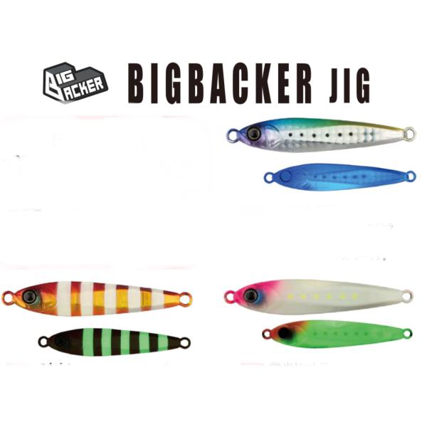 新品　全19色 ビッグバッカージグ 40g ジャッカル ビッグバッカージグ 40g ＜CGオリジナルカラー＞ : ルアー