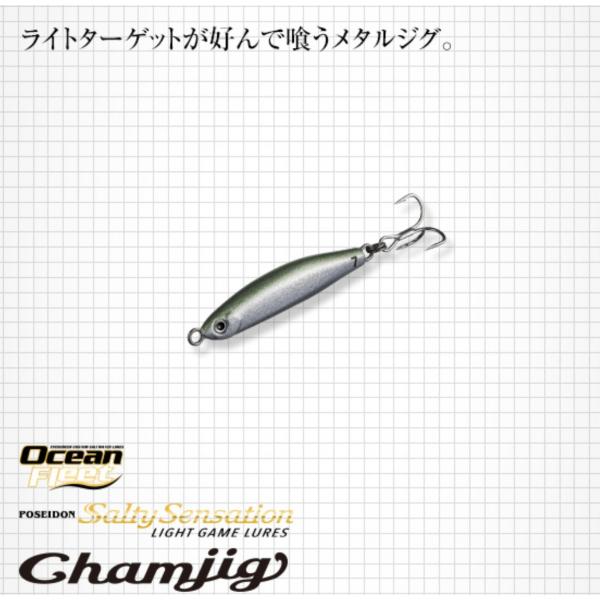 エバーグリーン　Chamjig チャムジグ　5.0g