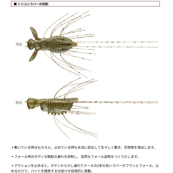 lure-shop-bb_fluttergizmo-38_4_d_20260320143654