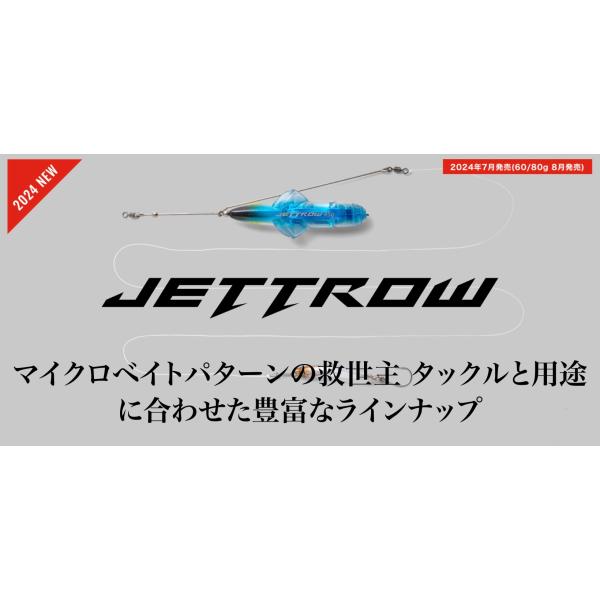 JACKALL 特価 ジャッカル ジェットローミニ 25g : ルアー