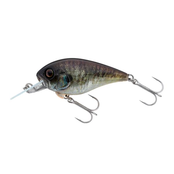 lure-shop-bb_mastercrank47sr_5_d_20251218115539