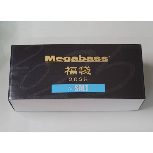 メガバス福袋2025 ソルト 65e1d4c8060ffb297cb4e038b50881