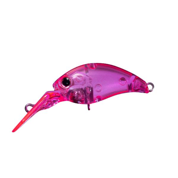 lure-shop-bb_melodr-ss_2_d_20251208102735