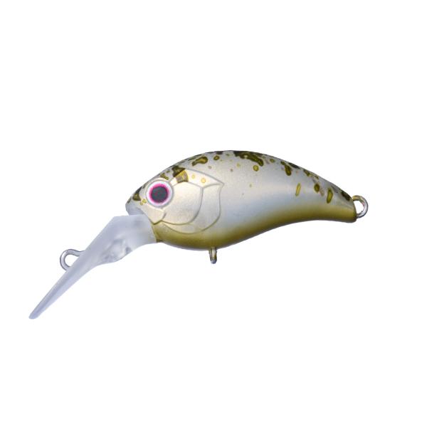 lure-shop-bb_melodr-ss_4_d_20251208102746