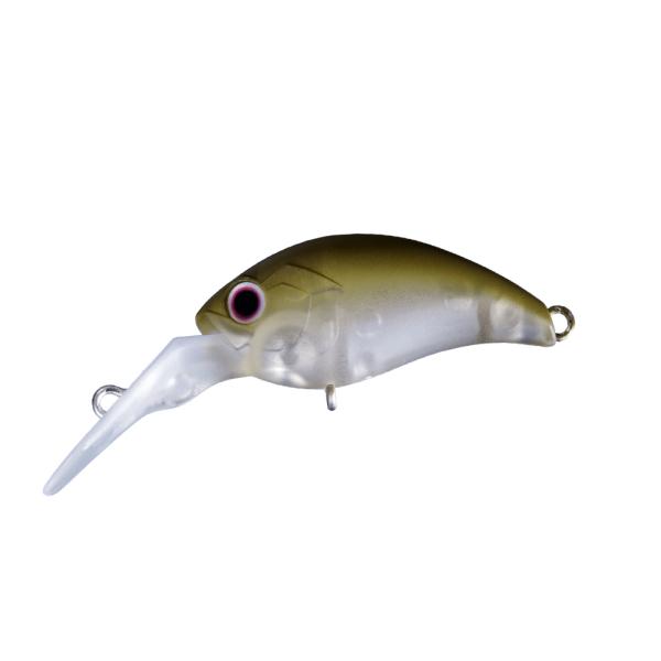 lure-shop-bb_melodr-ss_5_d_20251208102752