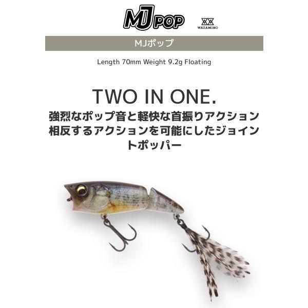 lure-shop-bb_mjpopstd