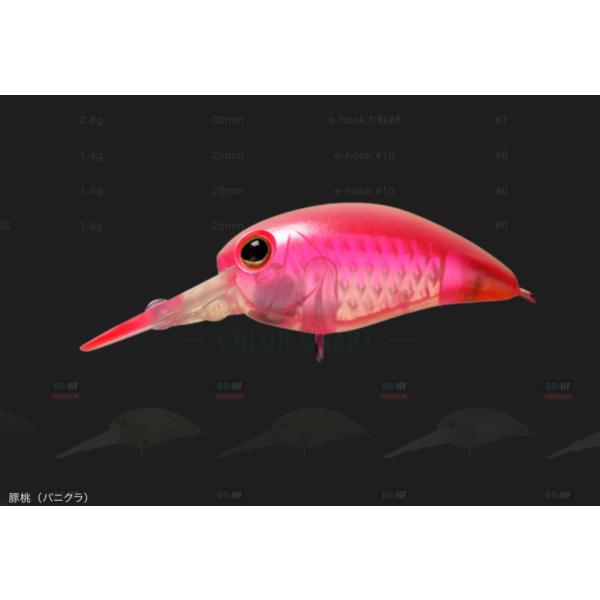 lure-shop-bb_panicra-mr_5_d_20230528125432