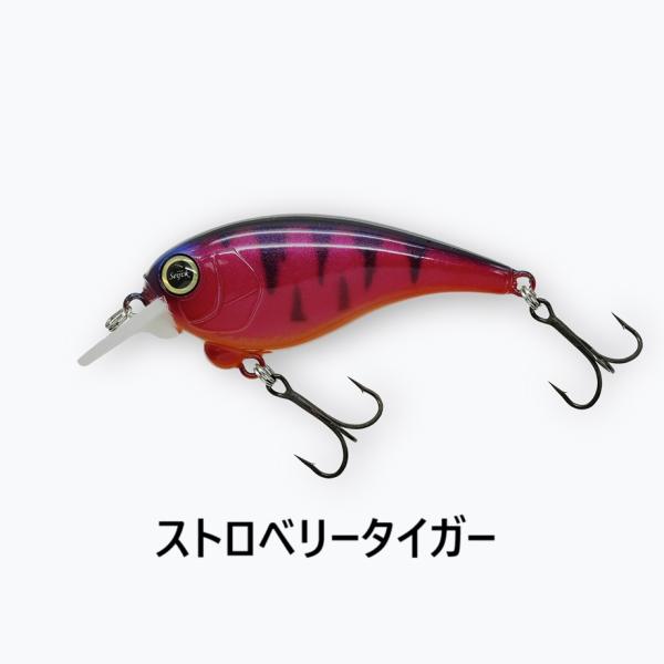 lure-shop-bb_saramoadrybone_2_d_20251208192259