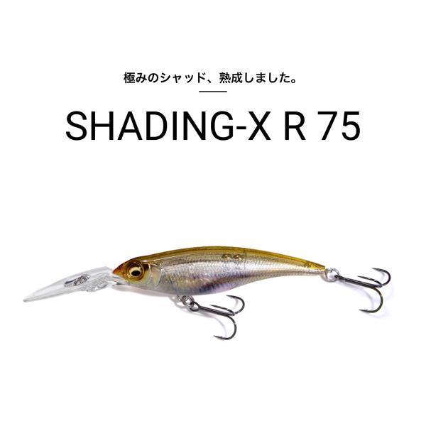 lure-shop-bb_shading-xr75f