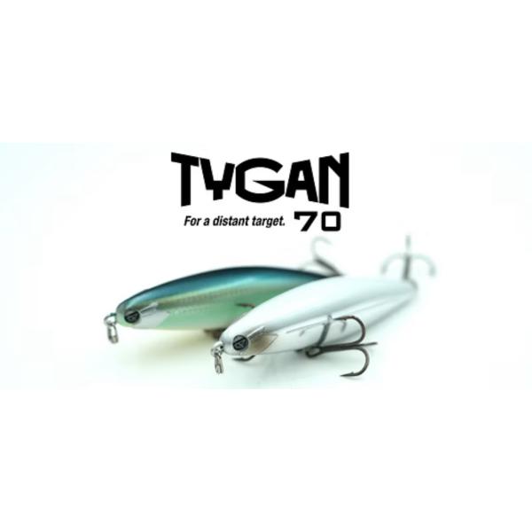 タイガン70 チャートファイヤースケルトン　フィッシュマグネット　3個 フィッシュマグネット TYGAN 70 タイガン70 : ルアーショップB.B