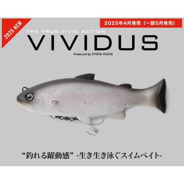 期間限定特価 ジャッカル ヴィヴィダス RTカラー : ルアー